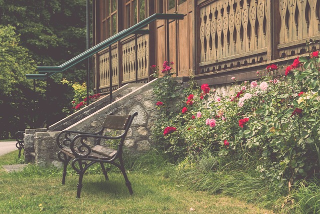 比赛走向的 比赛走向的