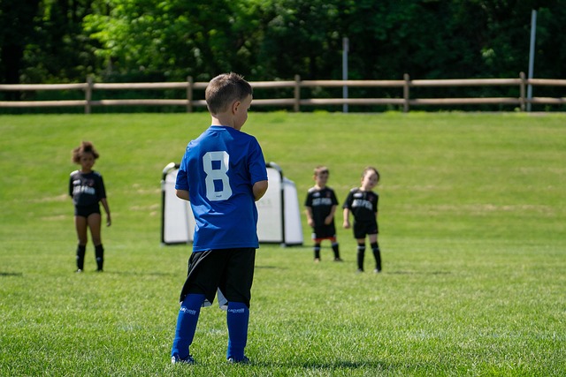 功和灵活的 功和灵活的