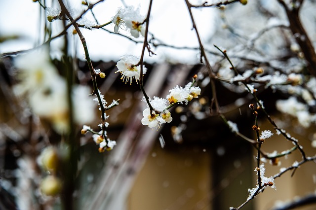 如史蒂芬 如史蒂芬