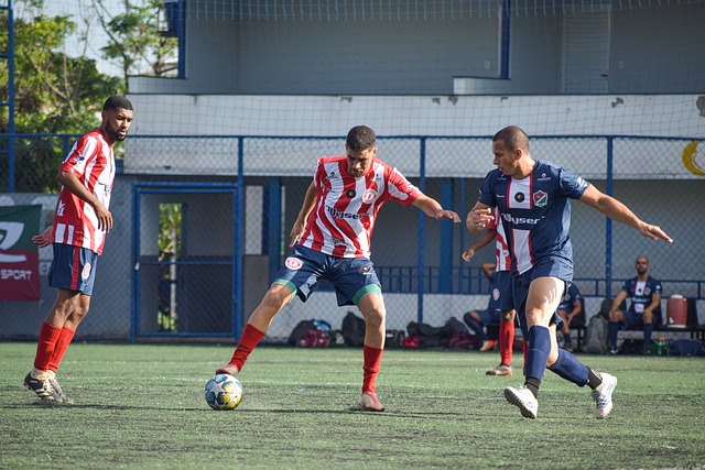 绽放光彩 绽放光彩