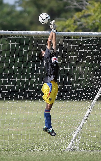 机敏的门前 机敏的门前