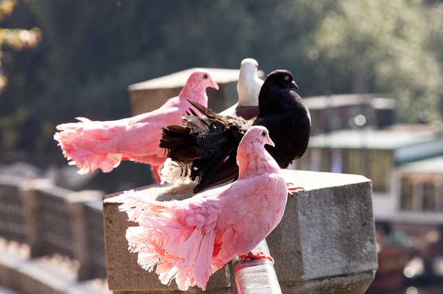 导致整体战 导致整体战